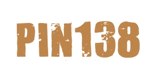 Pin138 logo