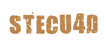 Stecu4D